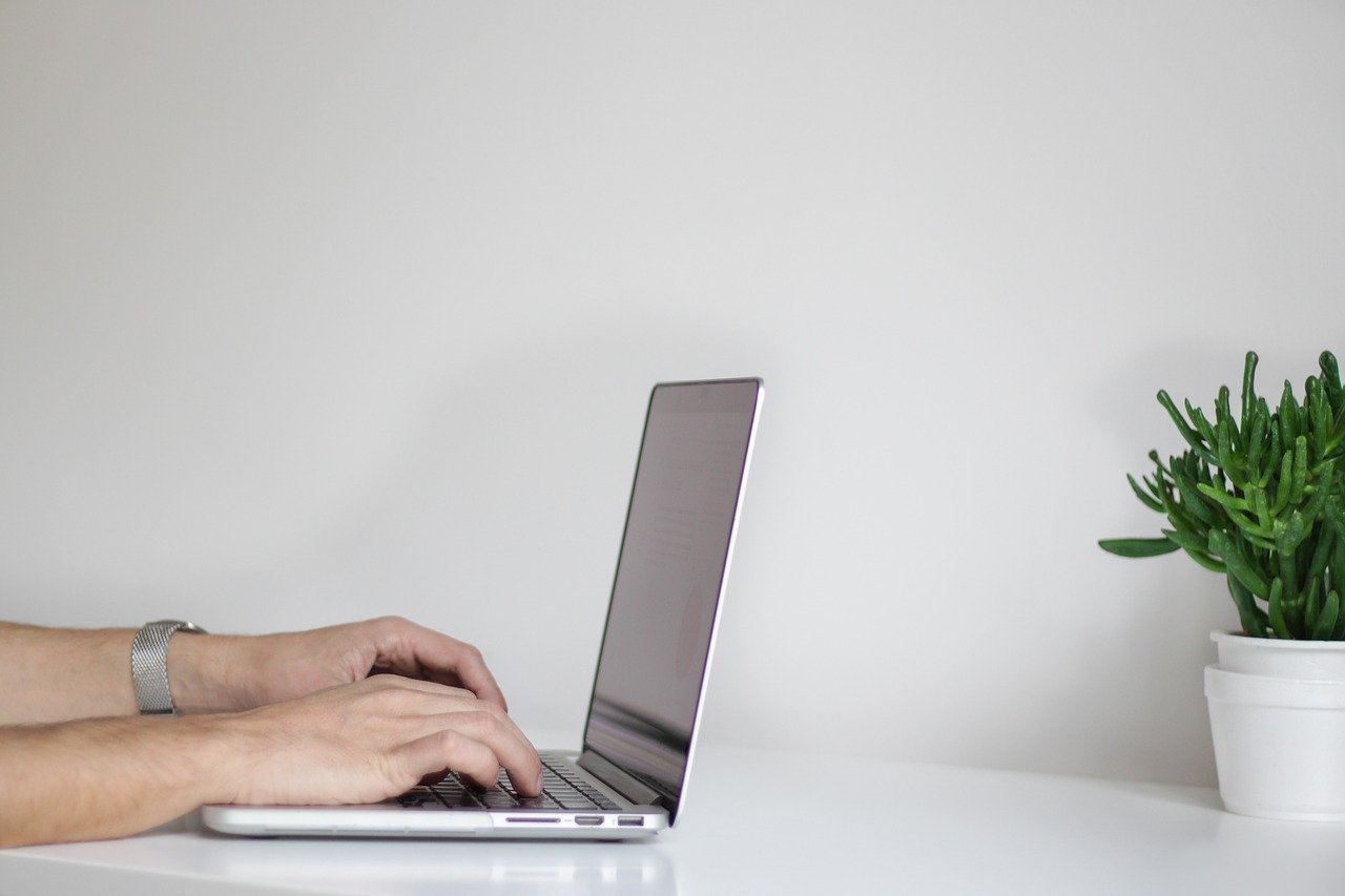 Person arbejder på grå macbook computer med plante i baggrunden